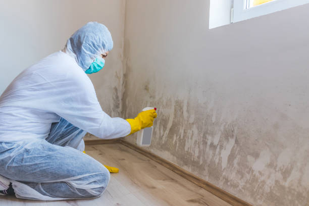 Commercial Mold Remediation assessment for commercial property in Horsham